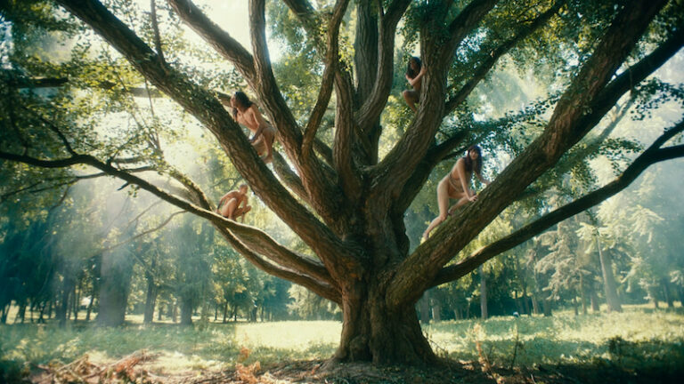 DEDOLES | ASTRAL FREEDOM