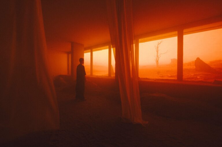 SORRYWECAN | EXHIBIZZ 2024